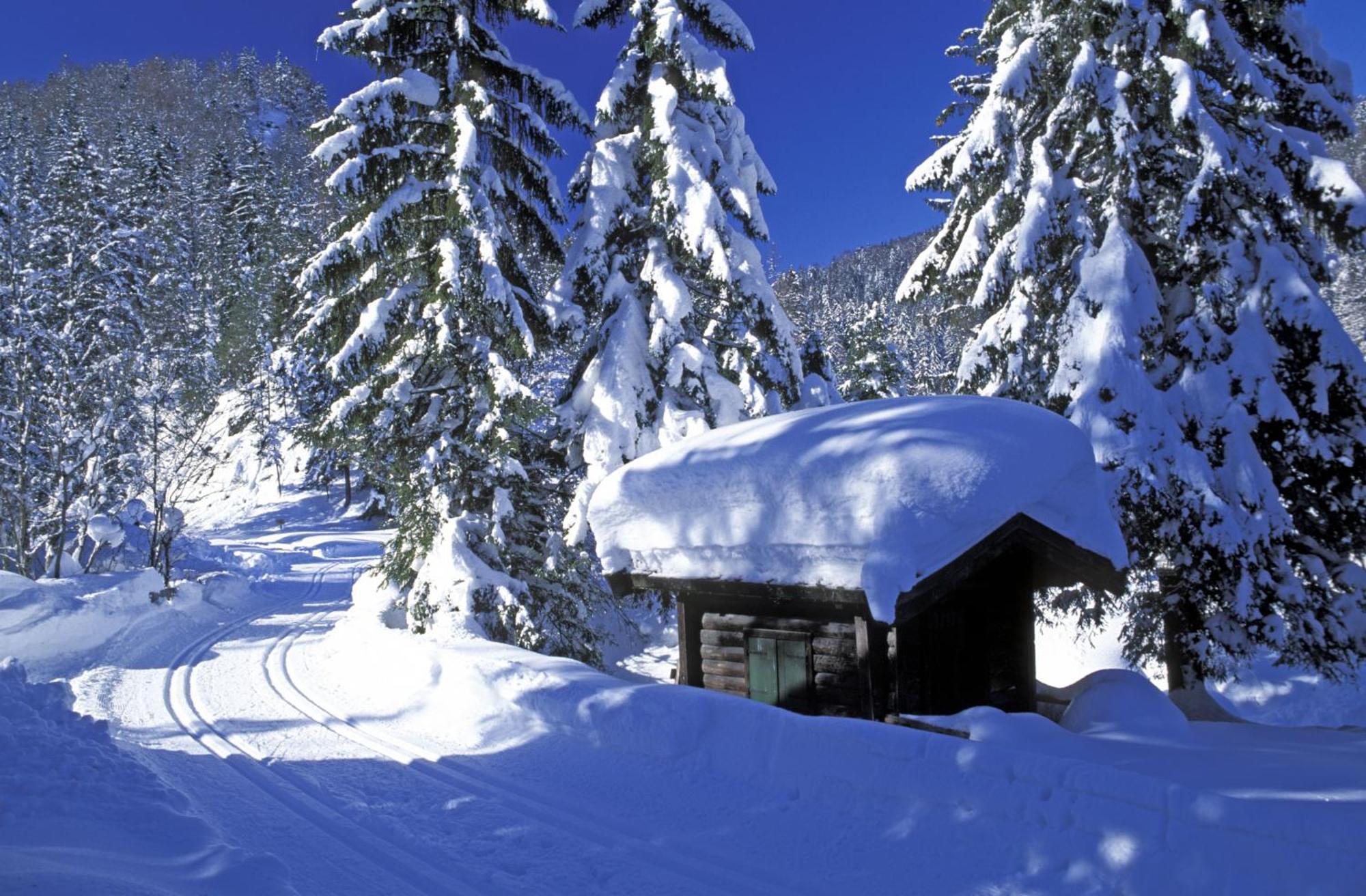 Landhaus Foidl Sankt Johann in Tirol Exterior foto